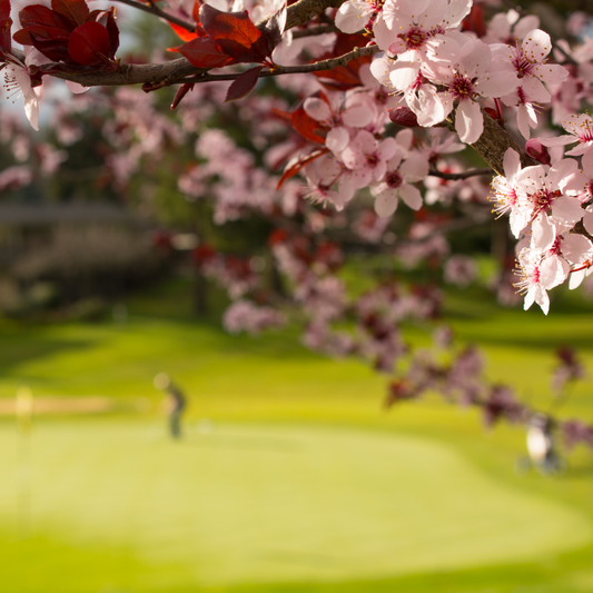 Getting back out on the golf course.