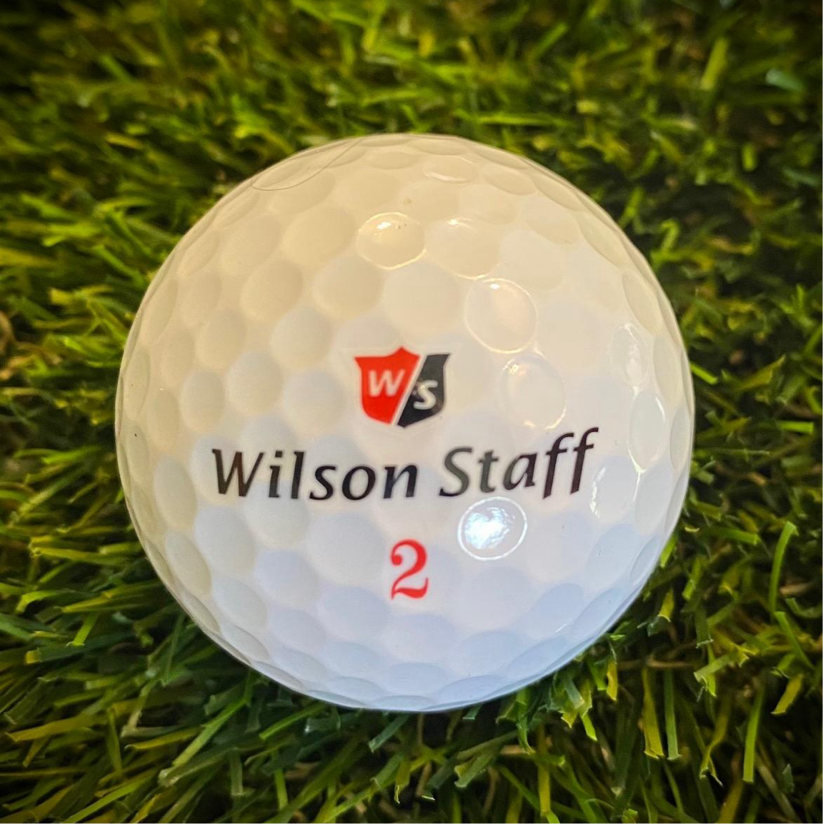 12 Wilson Mix Golf Balls.